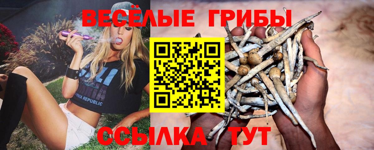наркотики  Вход с VPN  Псилоцибиновые грибы Psilocybine cubensis  Сорочинск  Галлюциногенные грибы MAGIC MUSHROOMS 